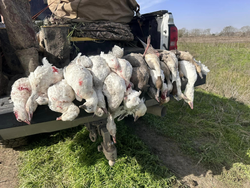 Matagorda's hunting paradise